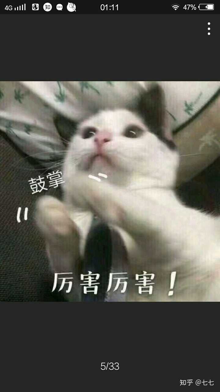 很火的英文歌:that girl不会英文的我怎么学唱,求中译