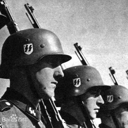 与纳粹党武装战斗执行部队的冲锋队并立的另一