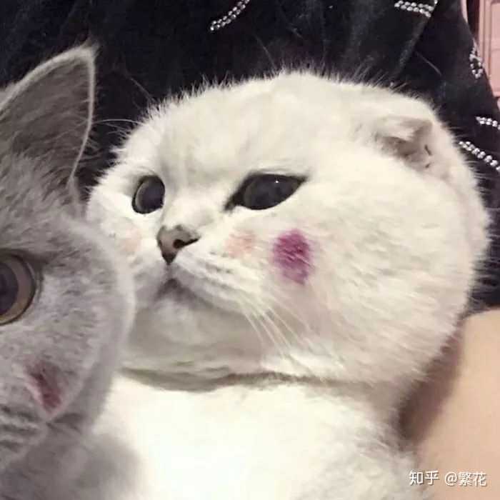 有什么闺蜜头像,真人,很仙,可爱的那种?