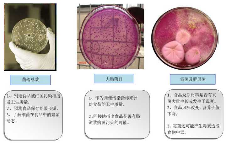 如何进行食品中有害微生物的危害识别