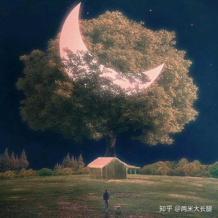 大家有哪些好看的背景图和头像?