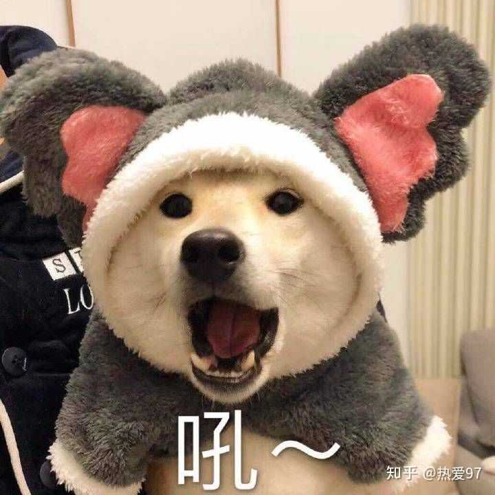 你手机里最搞笑的表情包有哪些(可以关闭水印吗)?