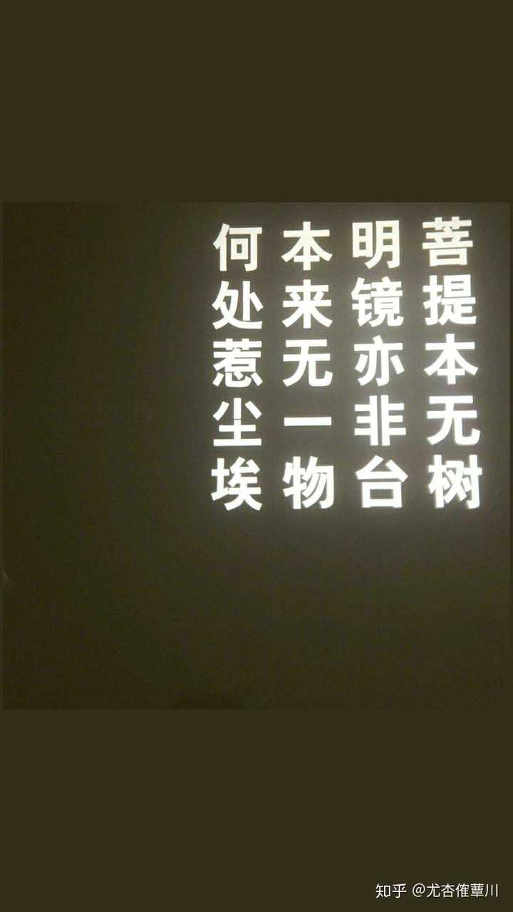 累其实我还有好多图嘿嘿 墙头什么的还有好多 (其实也算是找个地方放