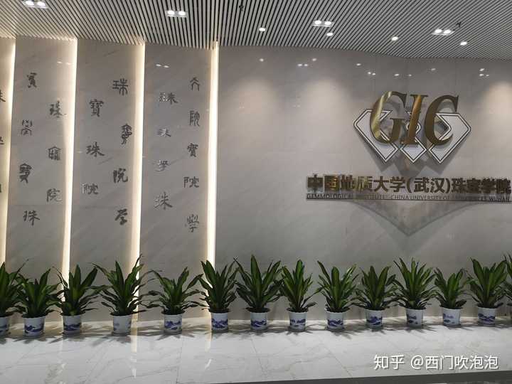 跨专业考研中国地质大学(武汉)珠宝鉴定?