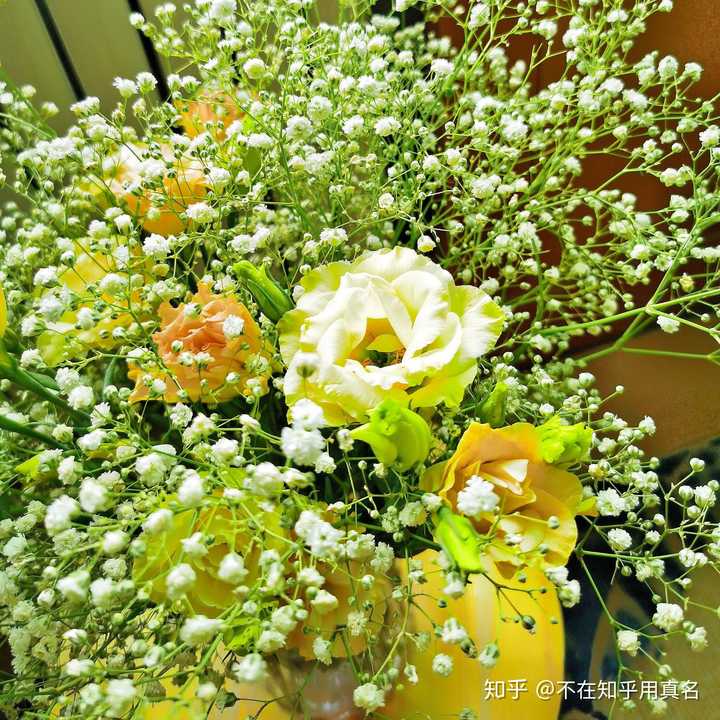 家里摆放鲜花费钱吗?