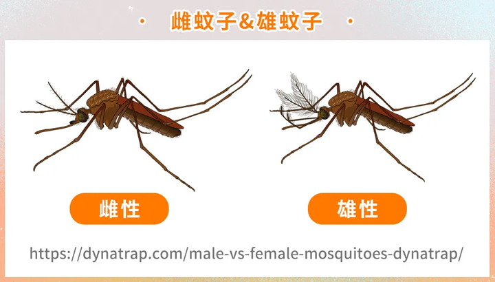 雌蚊子通过感应 动物或人产生的二氧化碳,气味,热量及挥发出来的化学