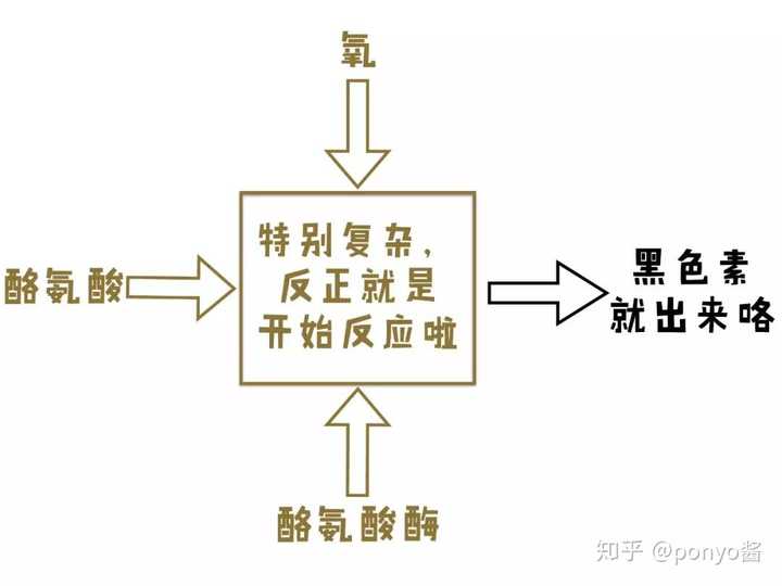 而377就是活性最高的酪氨酸酶抑制剂之一,是 曲酸的22倍.