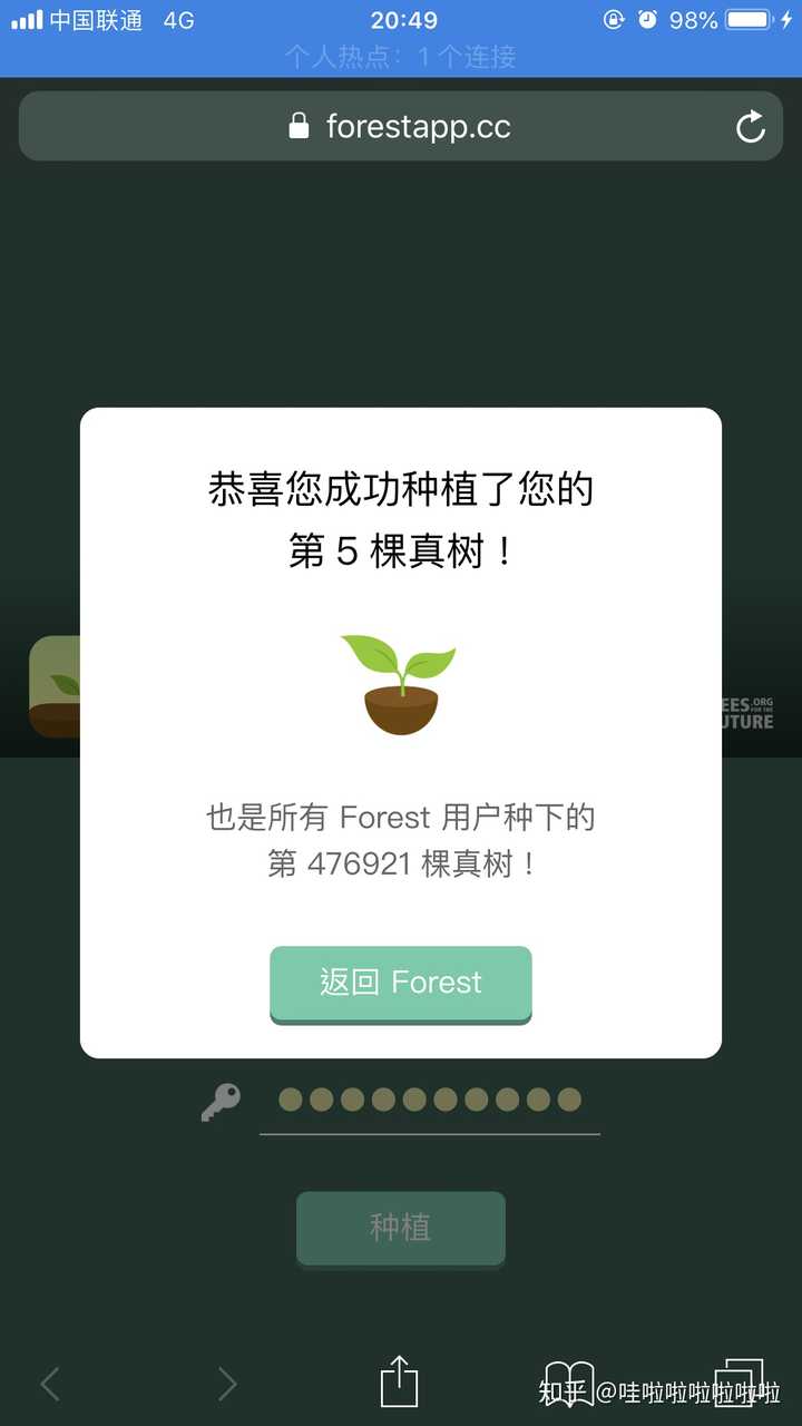 专注森林forest 值得购买吗?