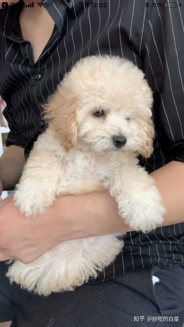 888接近900吧.香槟色.我也不知道有没有买贵.