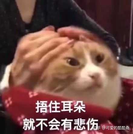 有哪张表情图片是你内心极度生气时用来发泄的吗?