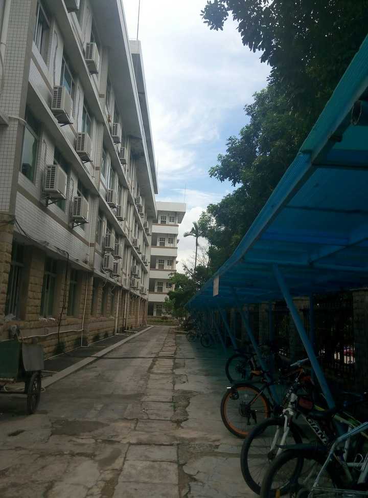 湛江一中是一所很美丽,舒适的校园,管理不算很严(取决于每一届的