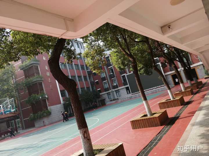 就读于武汉解放中学是什么体验