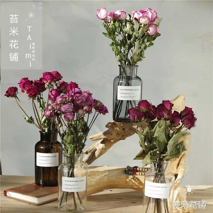 像情人草 勿忘我 麦杆菊这些是常见的干花花材 不过还有些常见的鲜花