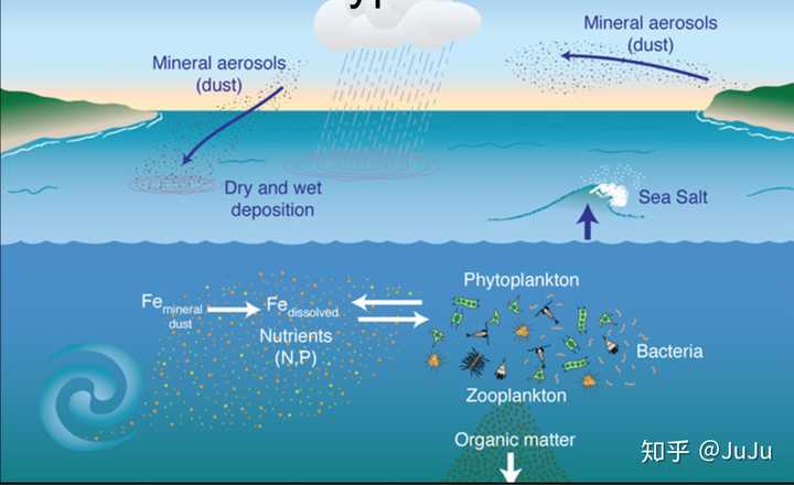 海洋深层浮游生物和沉积物多,因此透明度就相对海水表面地.