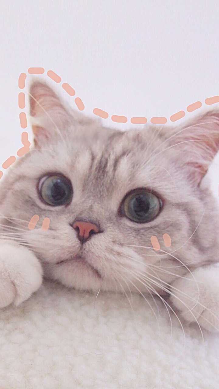 你有哪些珍藏的少女心爆棚的壁纸?