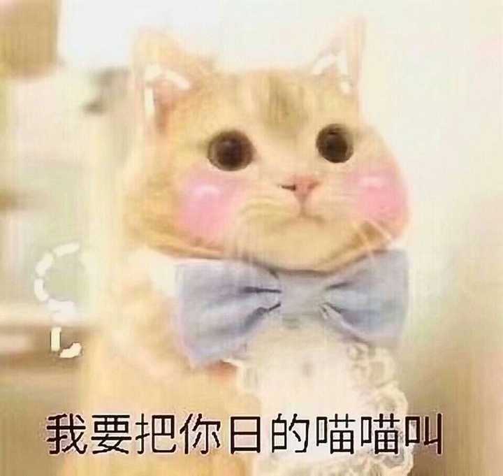 你有哪些非常搞笑的表情包?