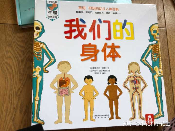 《我们的身体》【法】帕斯卡尔.艾德兰,罗伯特.巴尔博里尼