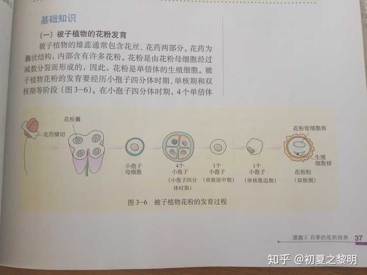 关于高中生物植物细胞的问题?