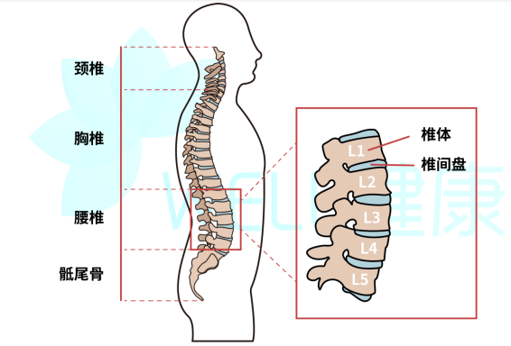 腰椎间盘突出的你睡的是什么床垫?