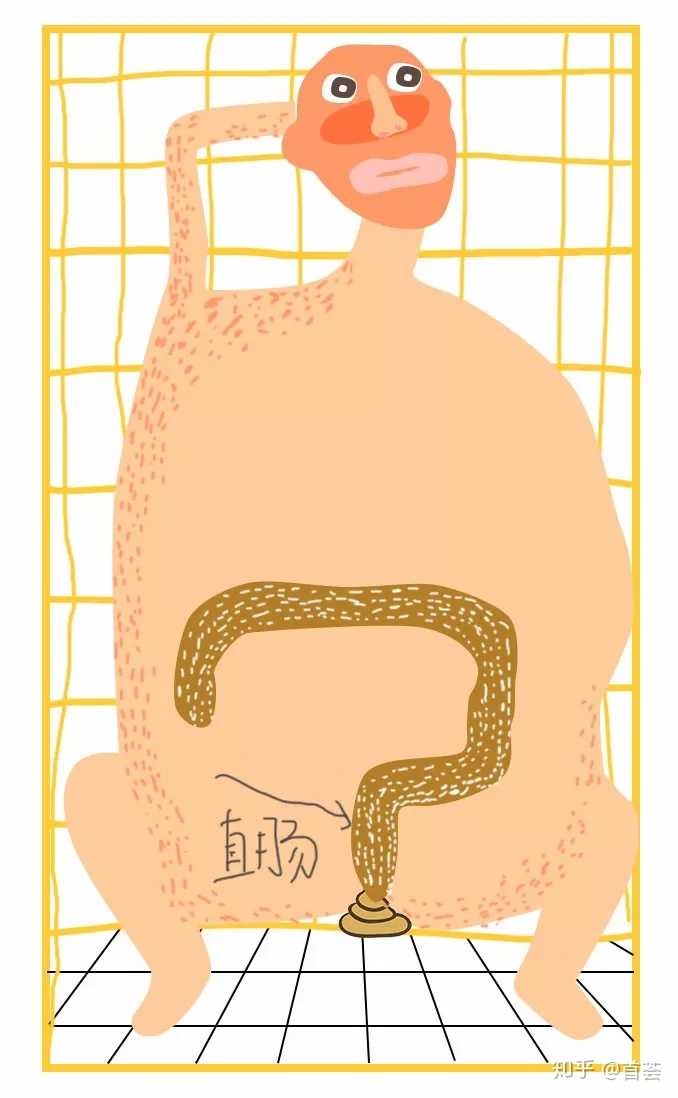 如何从生理学角度描述蛋炒饭在人体的消化过程?