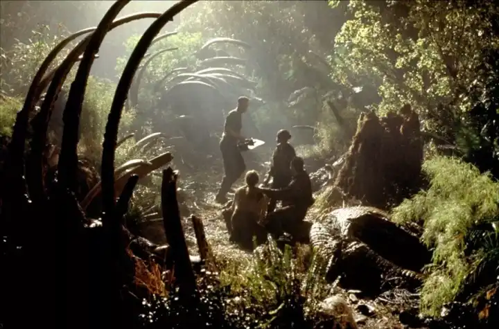 树屋位于哥斯达黎加雨林,电影《侏罗纪公园》和《失落的世界》拍摄地