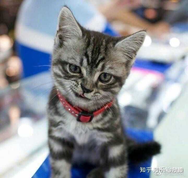 刚出校门一个穿了双nike的男生看了眼我的鞋轻蔑一笑