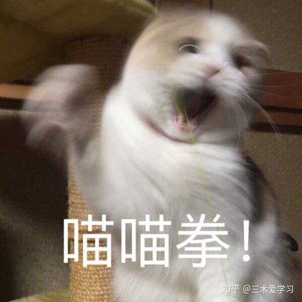 而且这个假的真的令人喷饭!