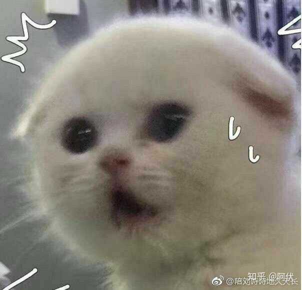有什么可以回复"抱我"表情包的表情包?