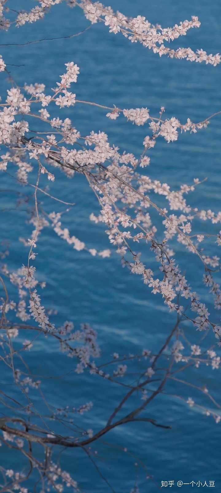 有什么看着很舒服的微信背景图?
