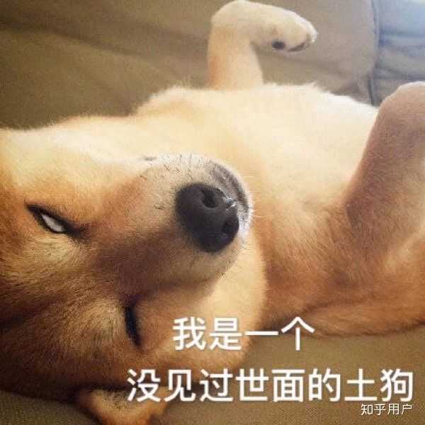 狗头保命 )