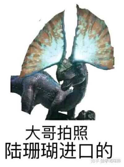 有没有怪物猎人的表情包?