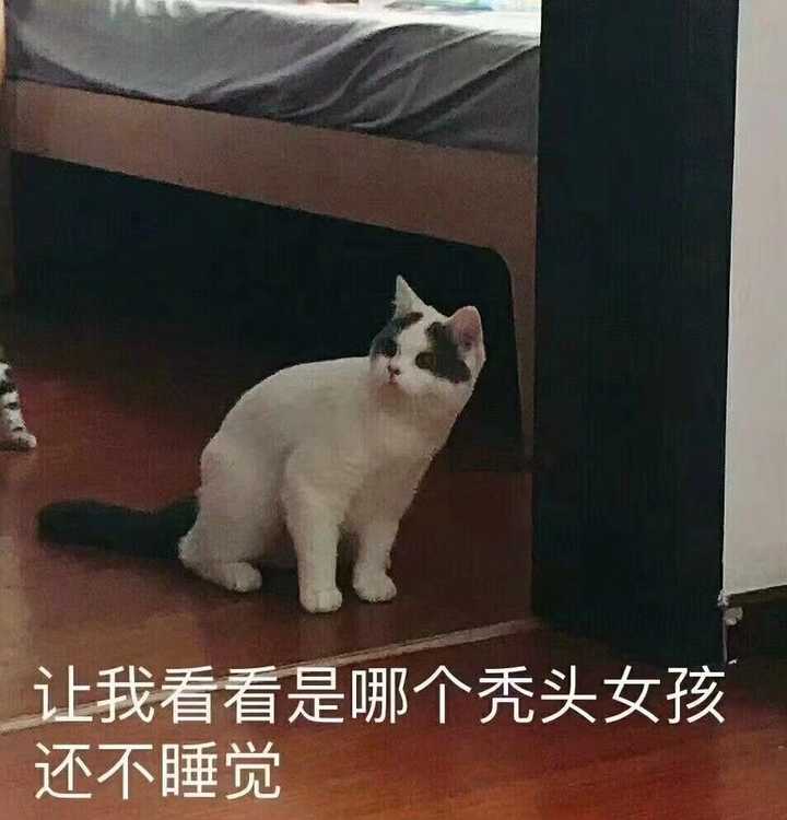 你见到过哪些笑到不行表情包?