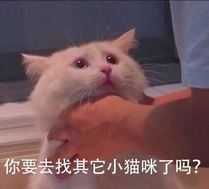有哪些可爱逗比的表情包?