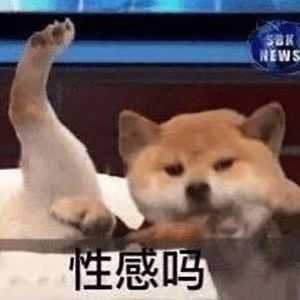 有什么笑到头掉的表情包?