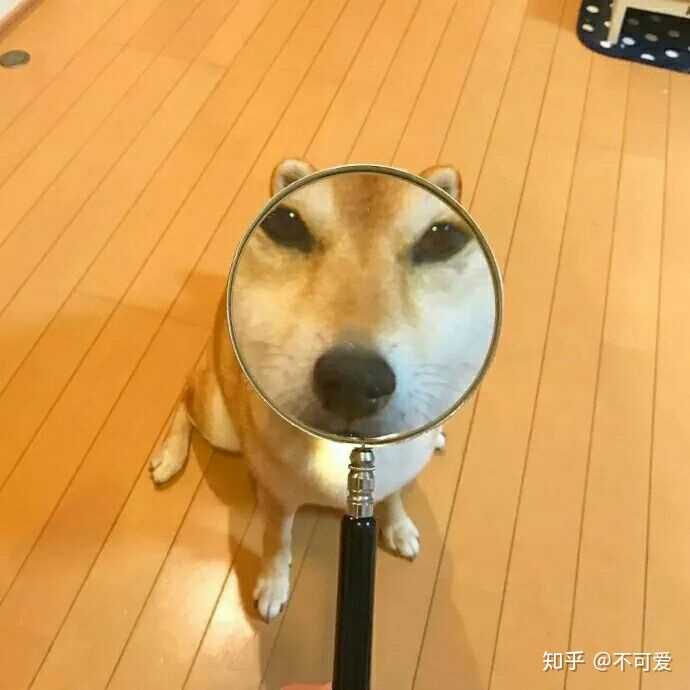 一组沙雕情侣头送给大家