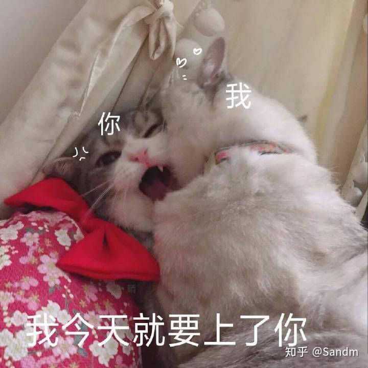 有没有什么和男朋友聊天的好玩,甜甜的表情包或对话啊