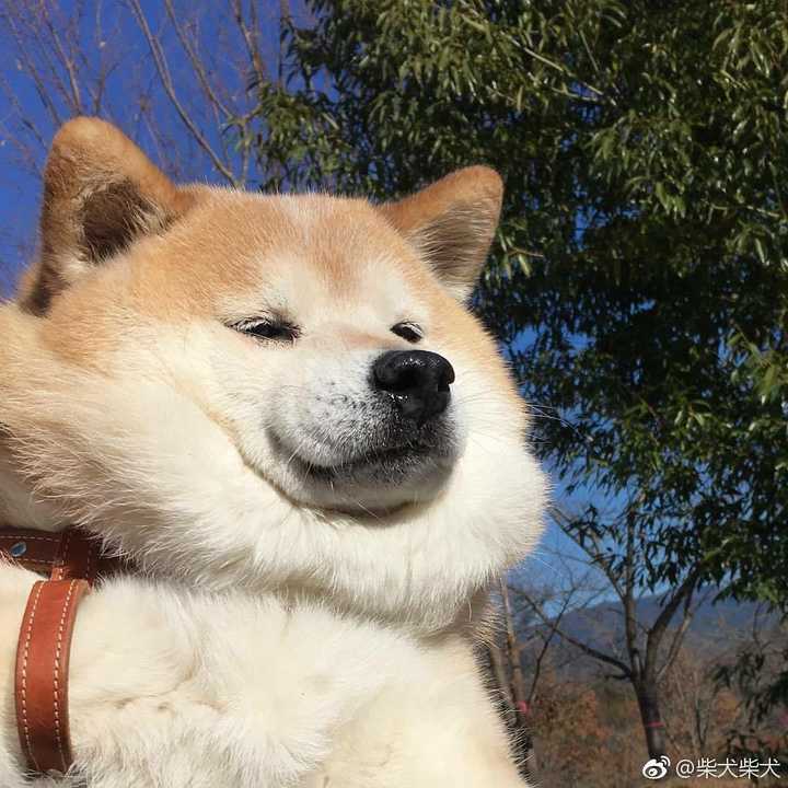 有哪些格调高不泛滥不明显的情头?