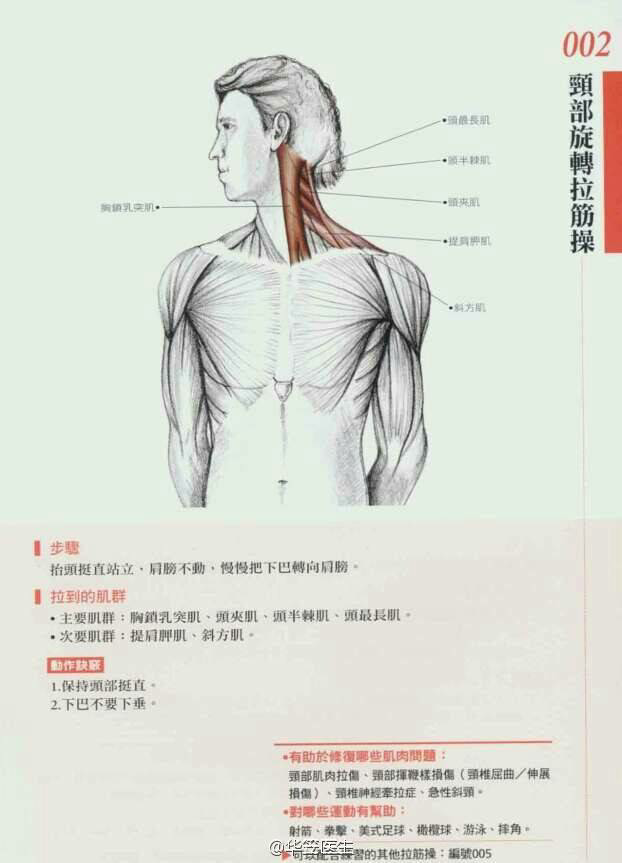 如何做好脖子颈椎的日常运动保健?