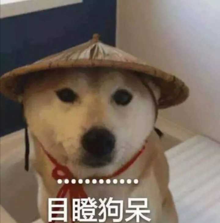 你身边有哪些让你笑到窒息的事?