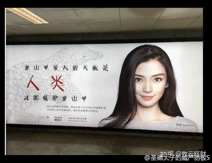如何看待杨颖代言的保护穿山甲公益广告?