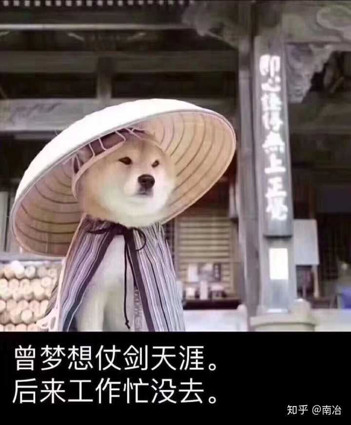 从不看空间和朋友圈,佛系老干部生活.