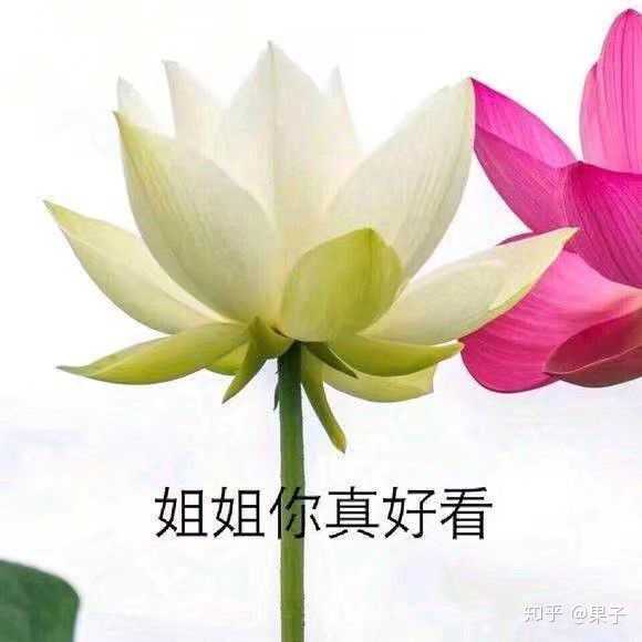 有没有很土或者特别的微信头像和签名看到第一眼就不想加的那种?