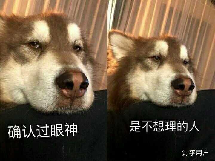 你见过最不可理喻的人是怎么样的?