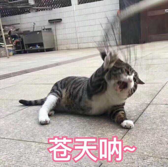 一时又生气又好笑