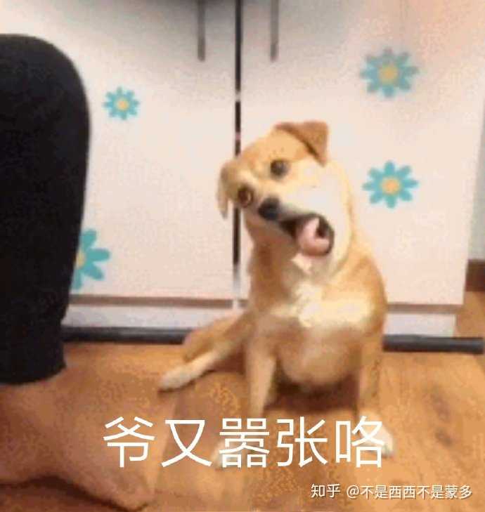 你有哪些骚破天际的表情包?