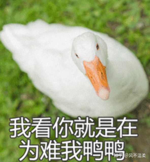 有没有什么很有格调的沙雕头像?