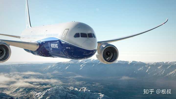 最接近老鹰翅膀的莫过于波音787 "梦想客机"的机翼.