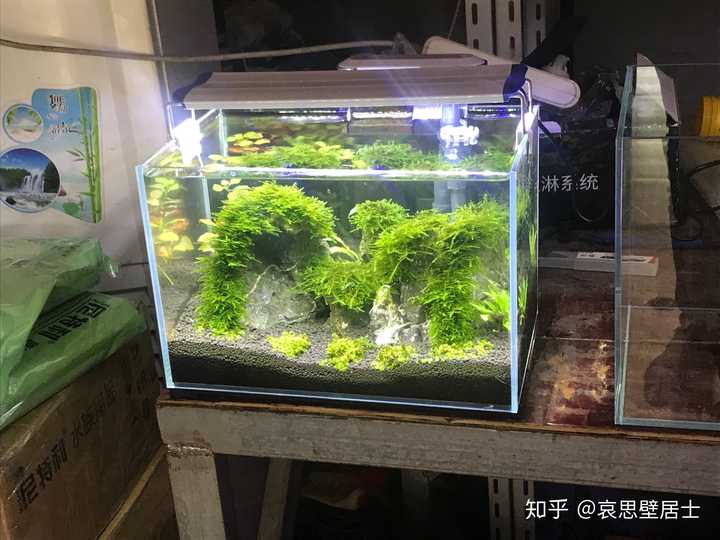 40x24x28的鱼缸,如何造景?养的是孔雀鱼?