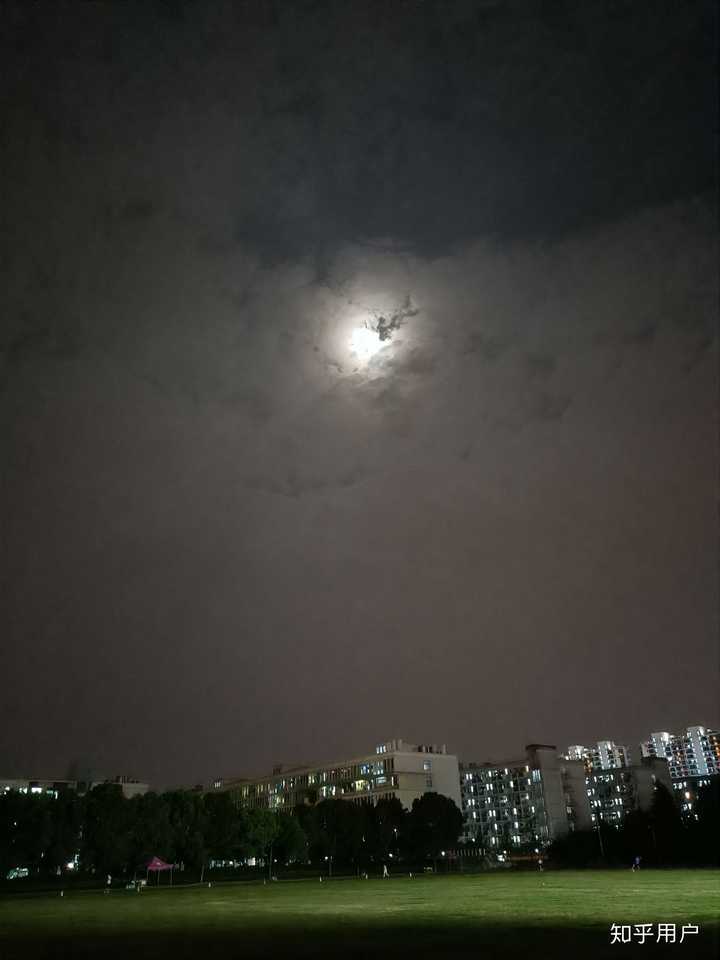 你们心里的白月光小说男主是谁?