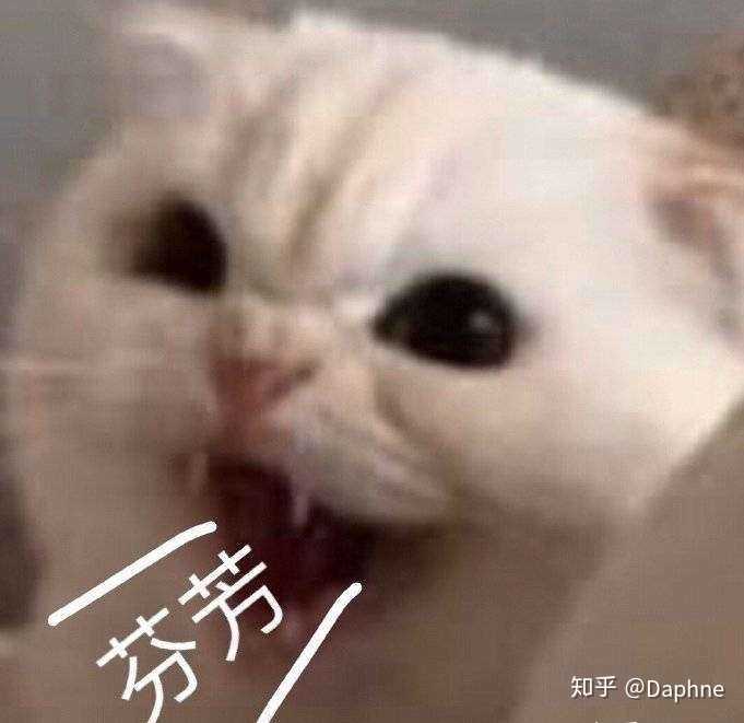 知乎你是对的我错了 下一步该帮我换头像吧 我今天就写了两个回答